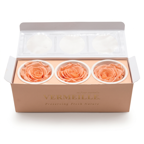 Vermeille Monalisa X3 Konservierte Rosen 3er Set Dusty Peach Ø6cm Ewige Rose Pf…