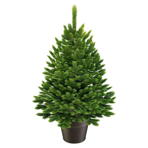 ArtiTree Künstlicher Weihnachtsbaum Nordfichte im Topf 60cm Spritzguss Grün
